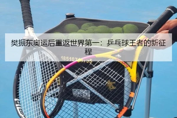 樊振东奥运后重返世界第一：乒乓球王者的新征程