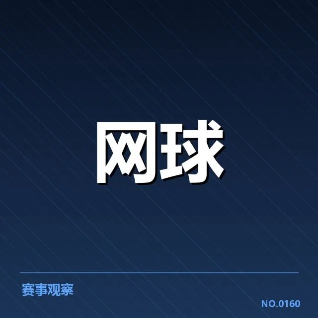 已确认的比赛信息和判罚事实